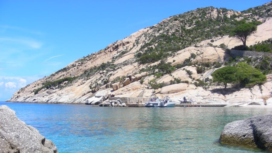 dao tu Spike o Ireland anh 4