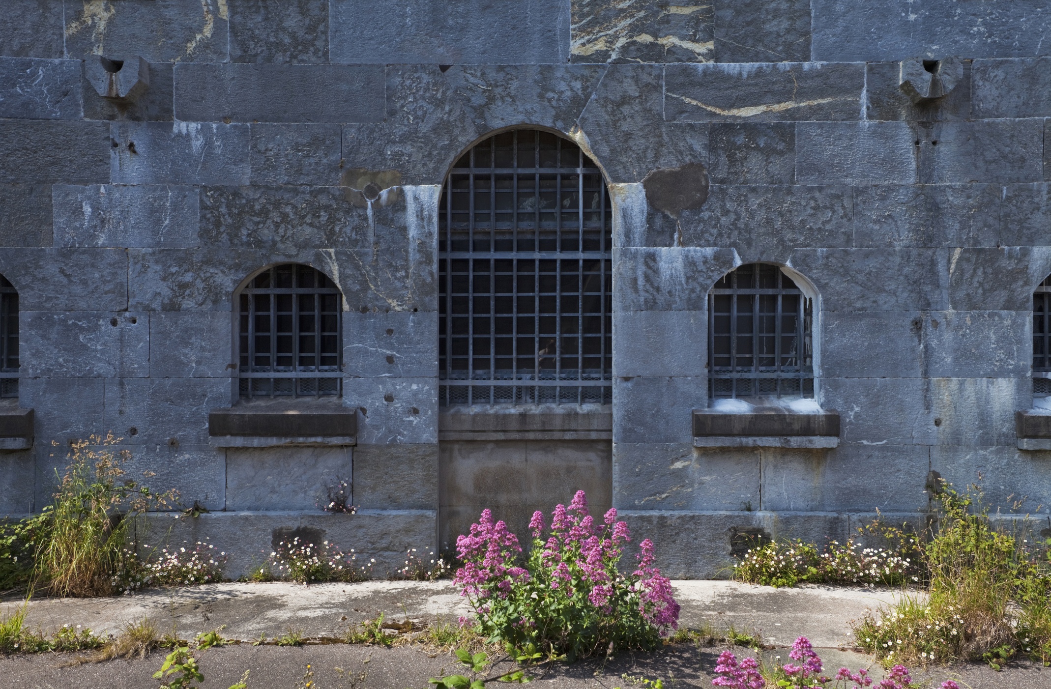 dao tu Spike o Ireland anh 7