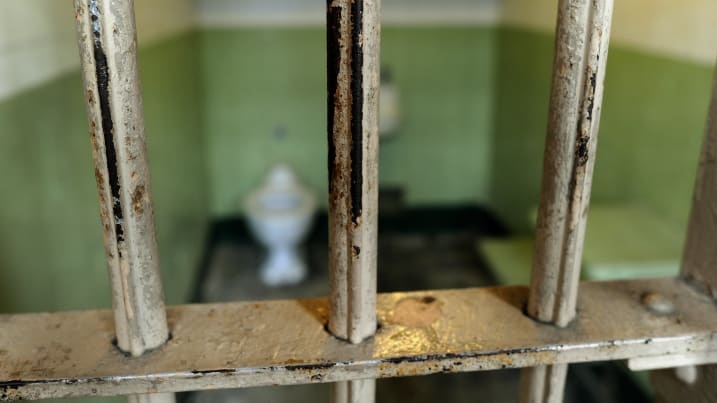 dao tu Spike o Ireland anh 9