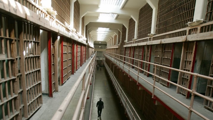 dao tu Spike o Ireland anh 8