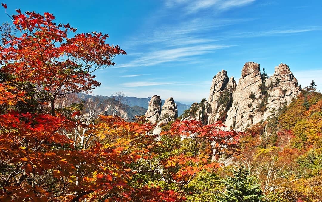 la vang mua thu Han Quoc anh 2