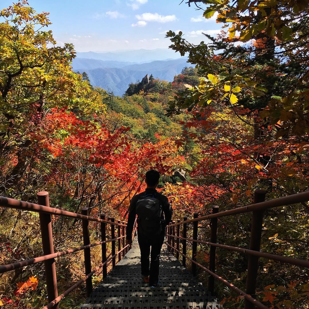 la vang mua thu Han Quoc anh 3