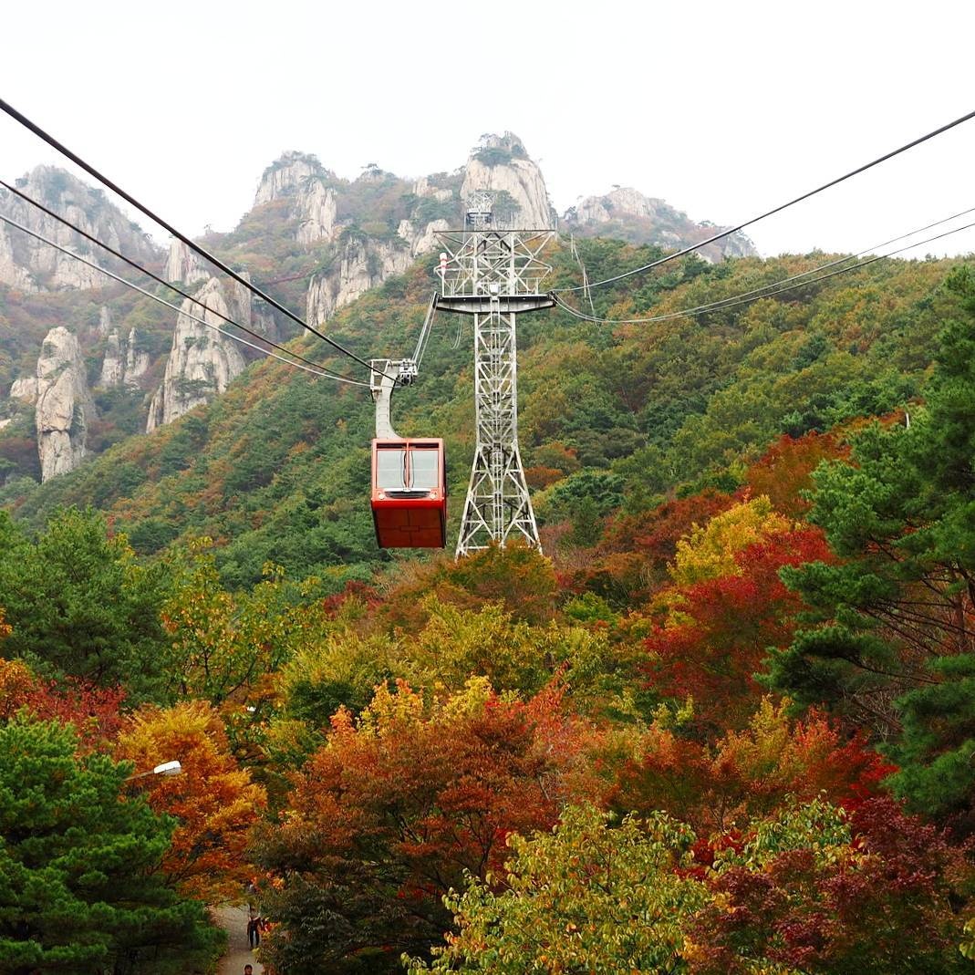 la vang mua thu Han Quoc anh 16