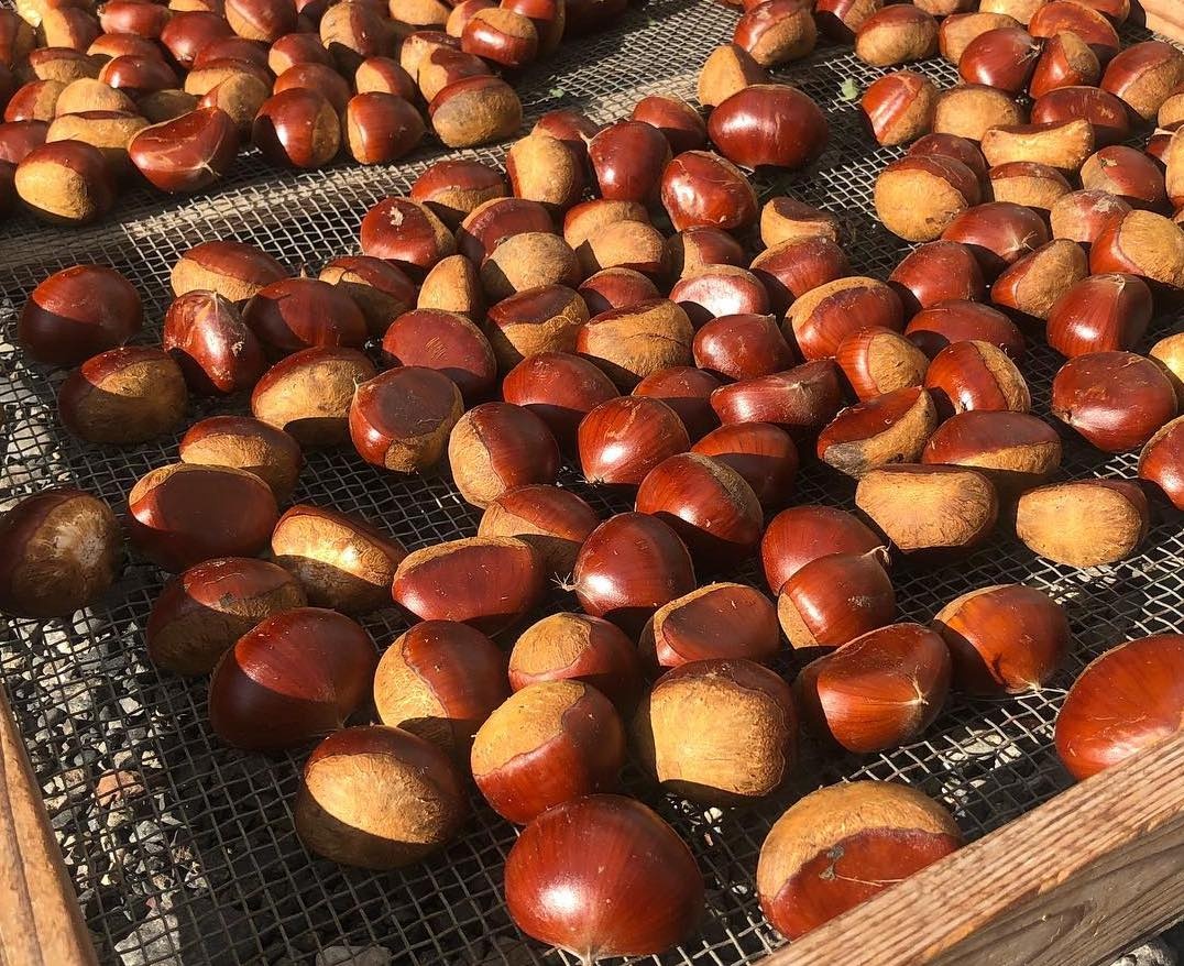 mon ngon mua thu Nhat Ban anh 8