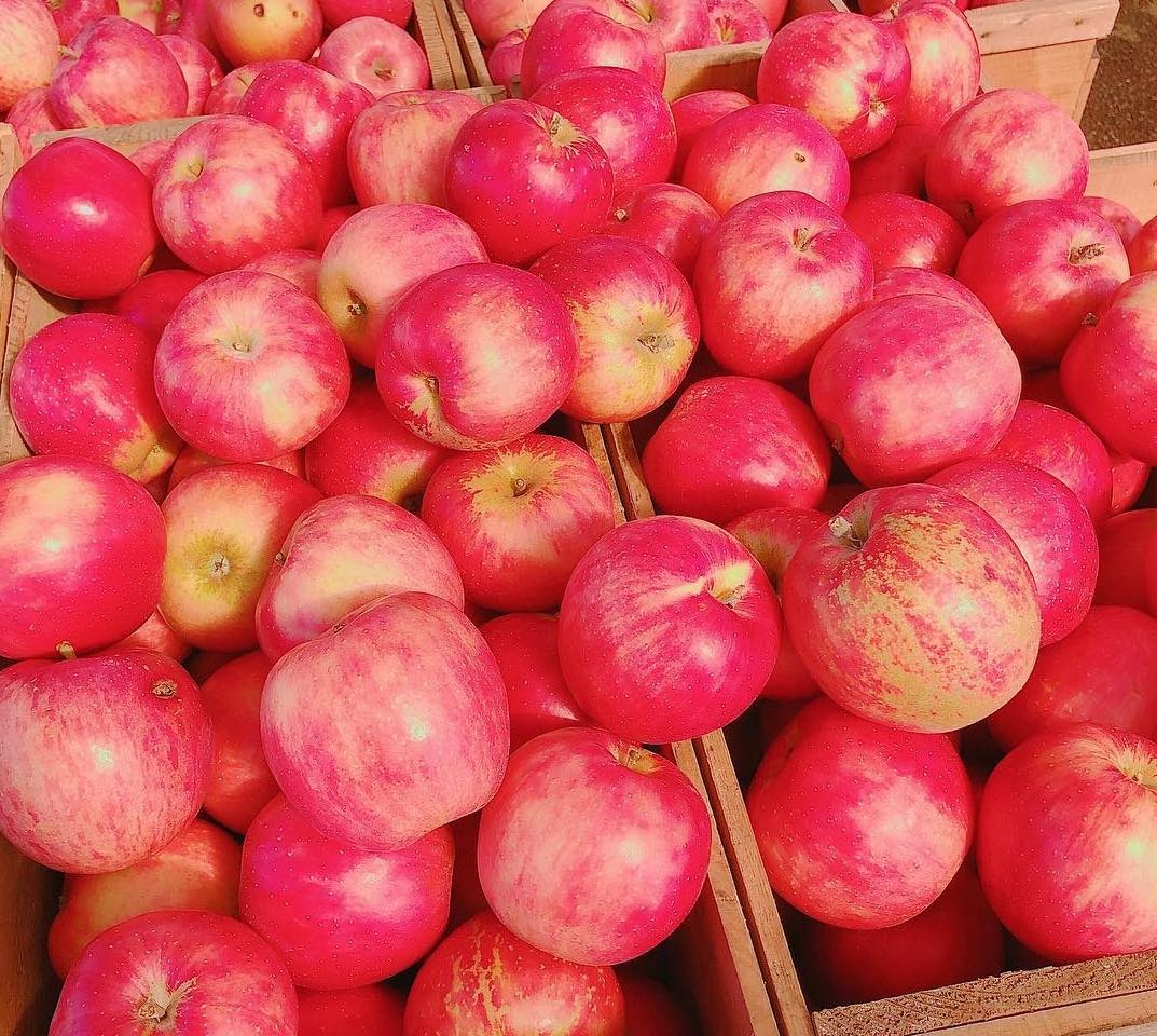 mon ngon mua thu Nhat Ban anh 13