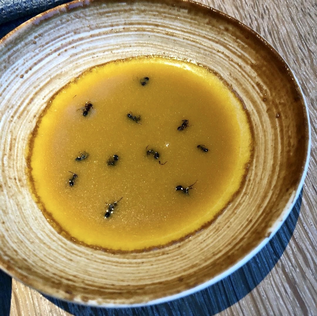 7 mon con trung noi tieng anh 2