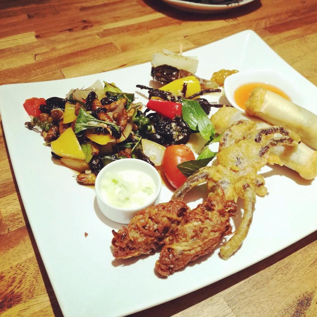 7 mon con trung noi tieng anh 5