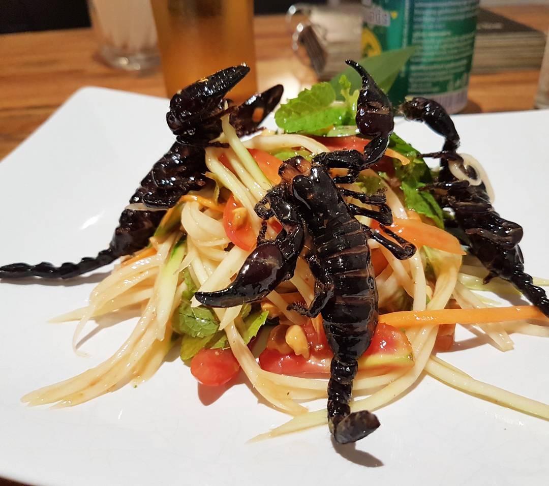 7 mon con trung noi tieng anh 6