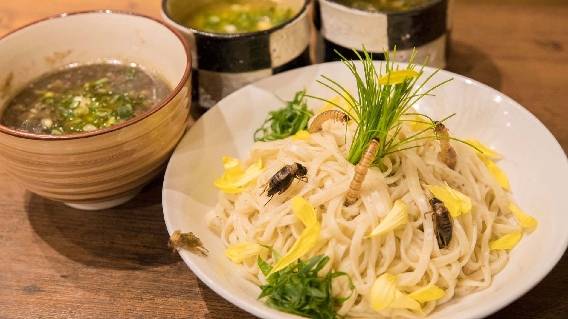 7 mon con trung noi tieng anh 19