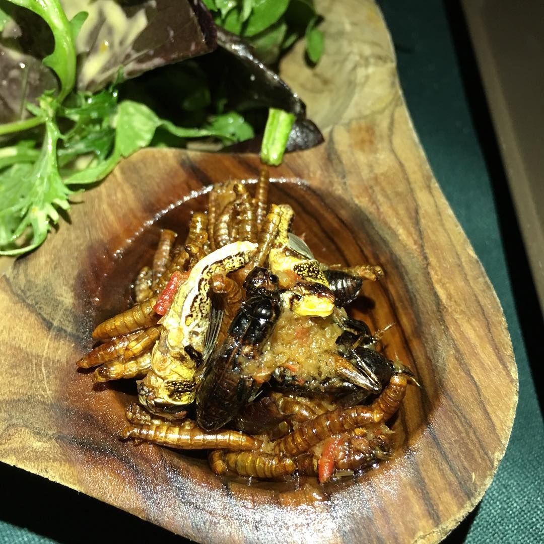 7 mon con trung noi tieng anh 14