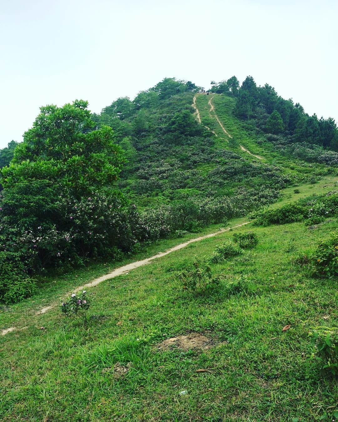 dia diem cam trai gan Ha Noi anh 11