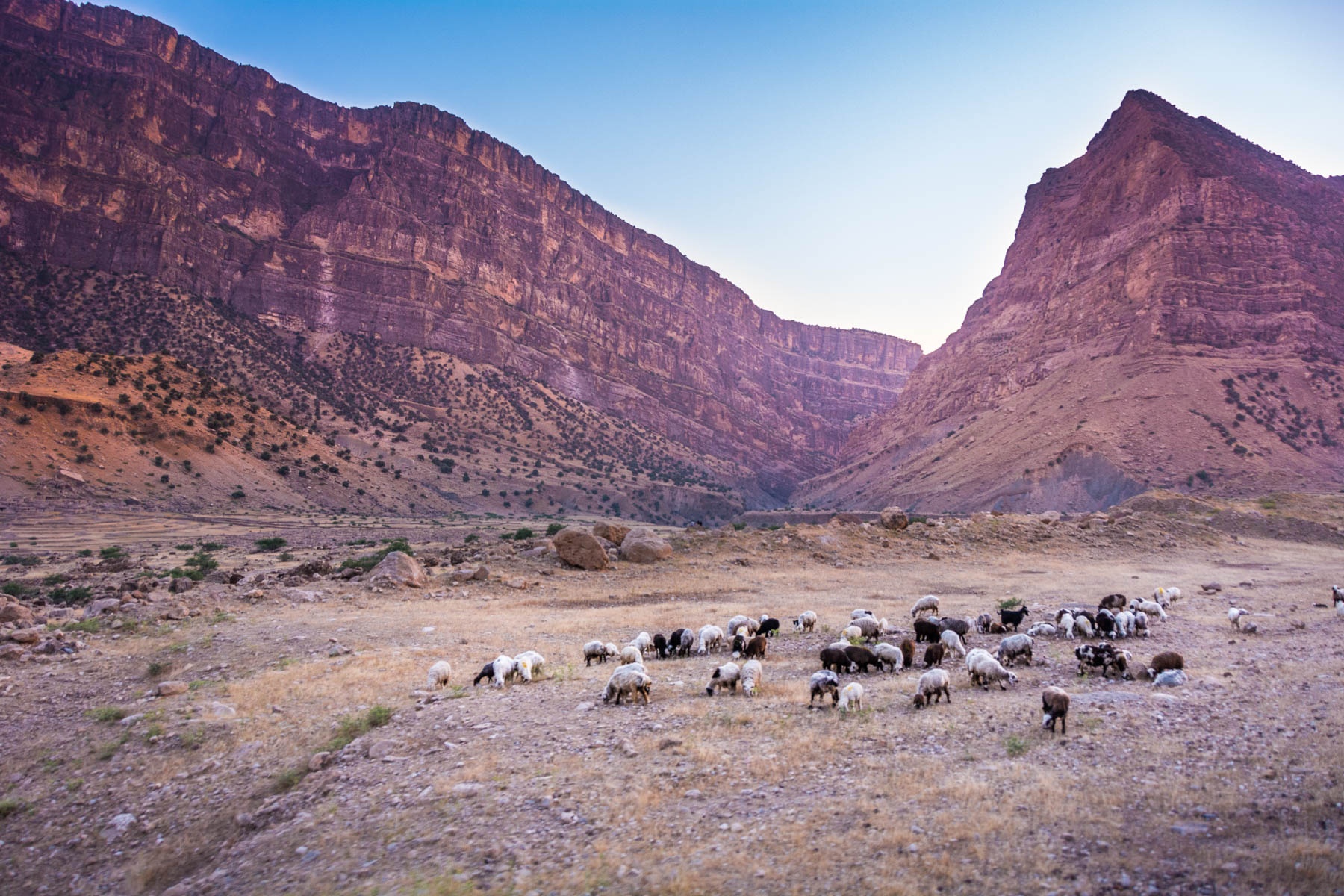 hanh trinh tau hoa dep nhat the gioi anh 10