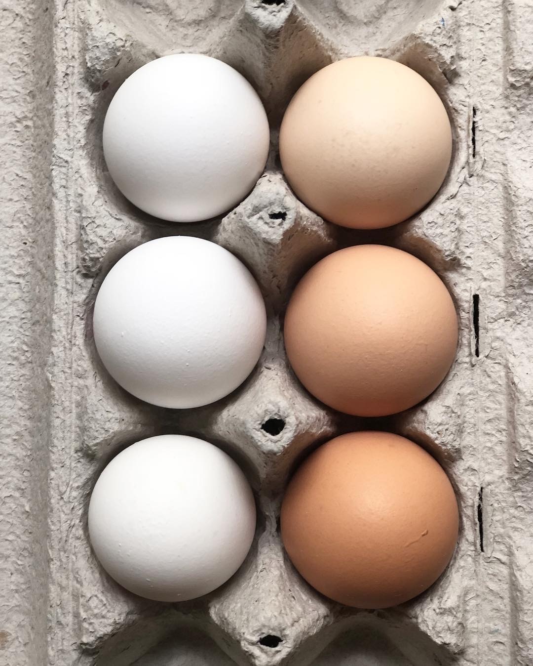 thuc pham het han van co the su dung anh 8