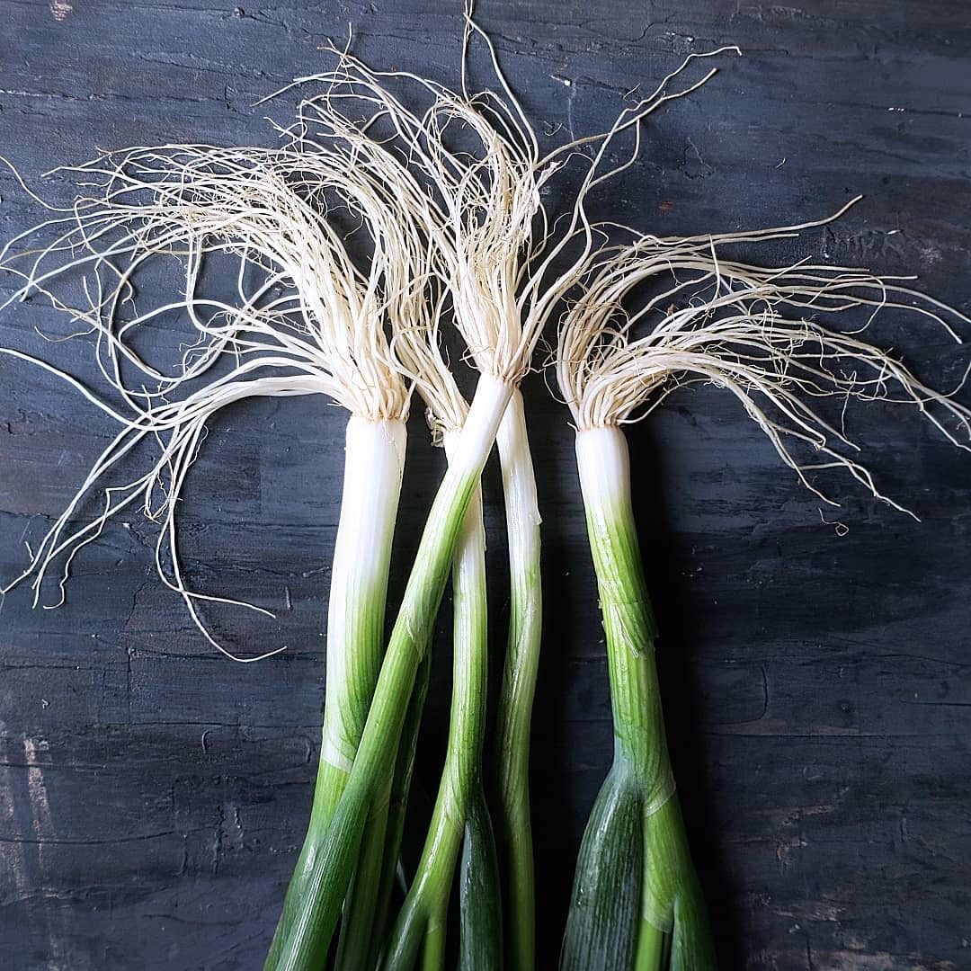 meo rua rau cu dung cach anh 2