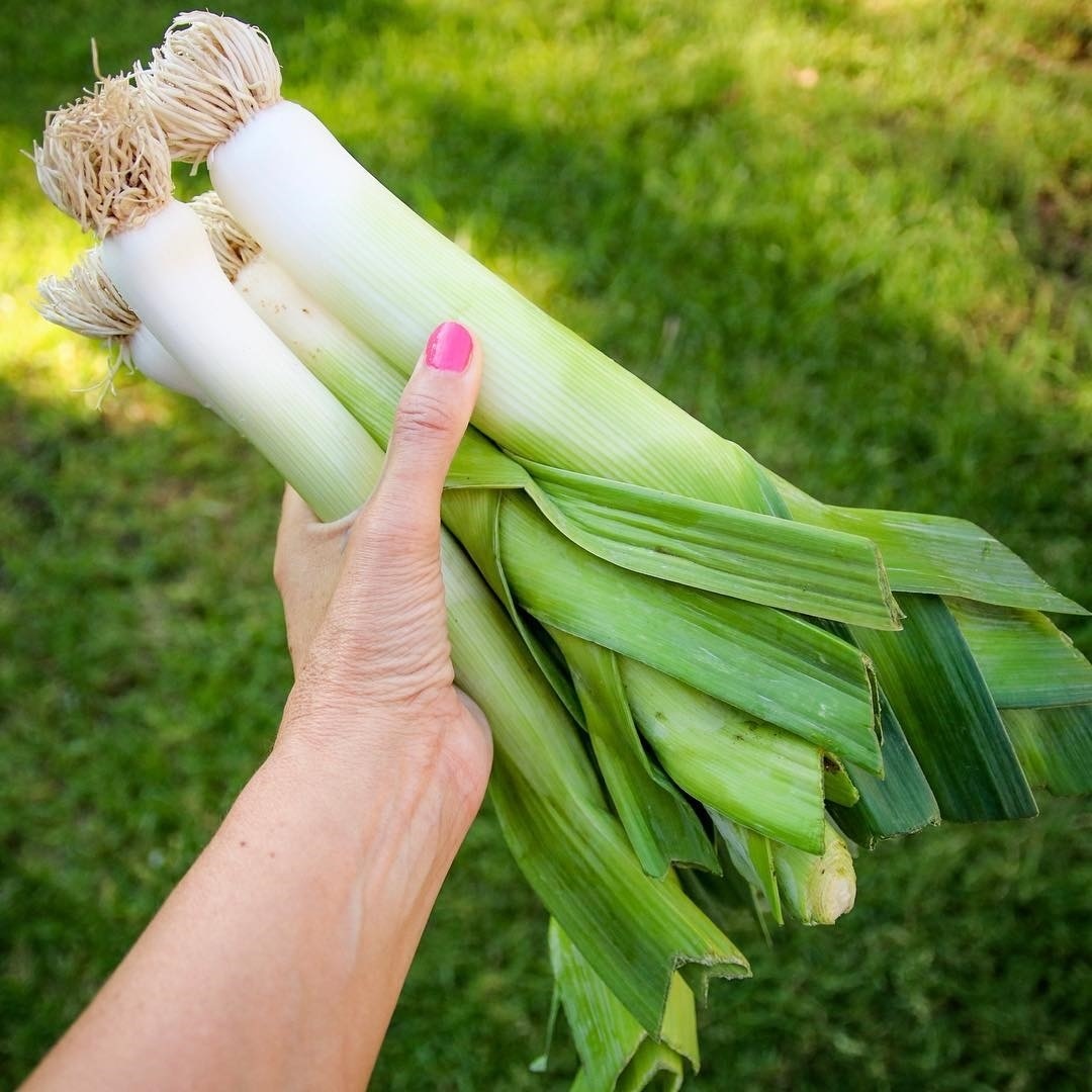 meo rua rau cu dung cach anh 7