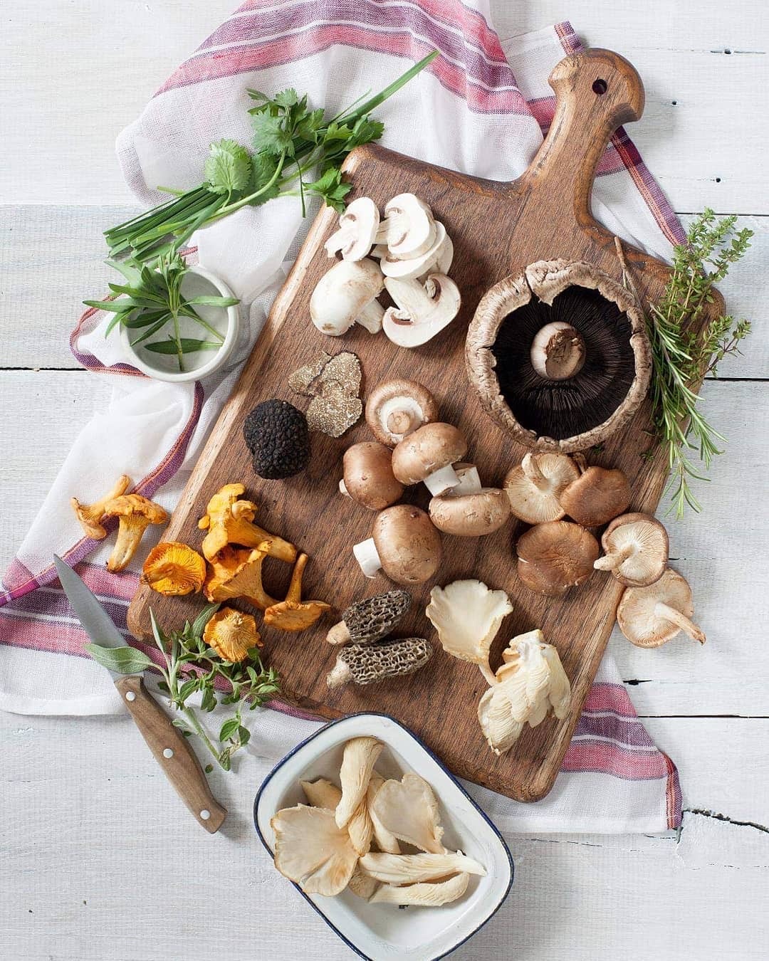 meo rua rau cu dung cach anh 10