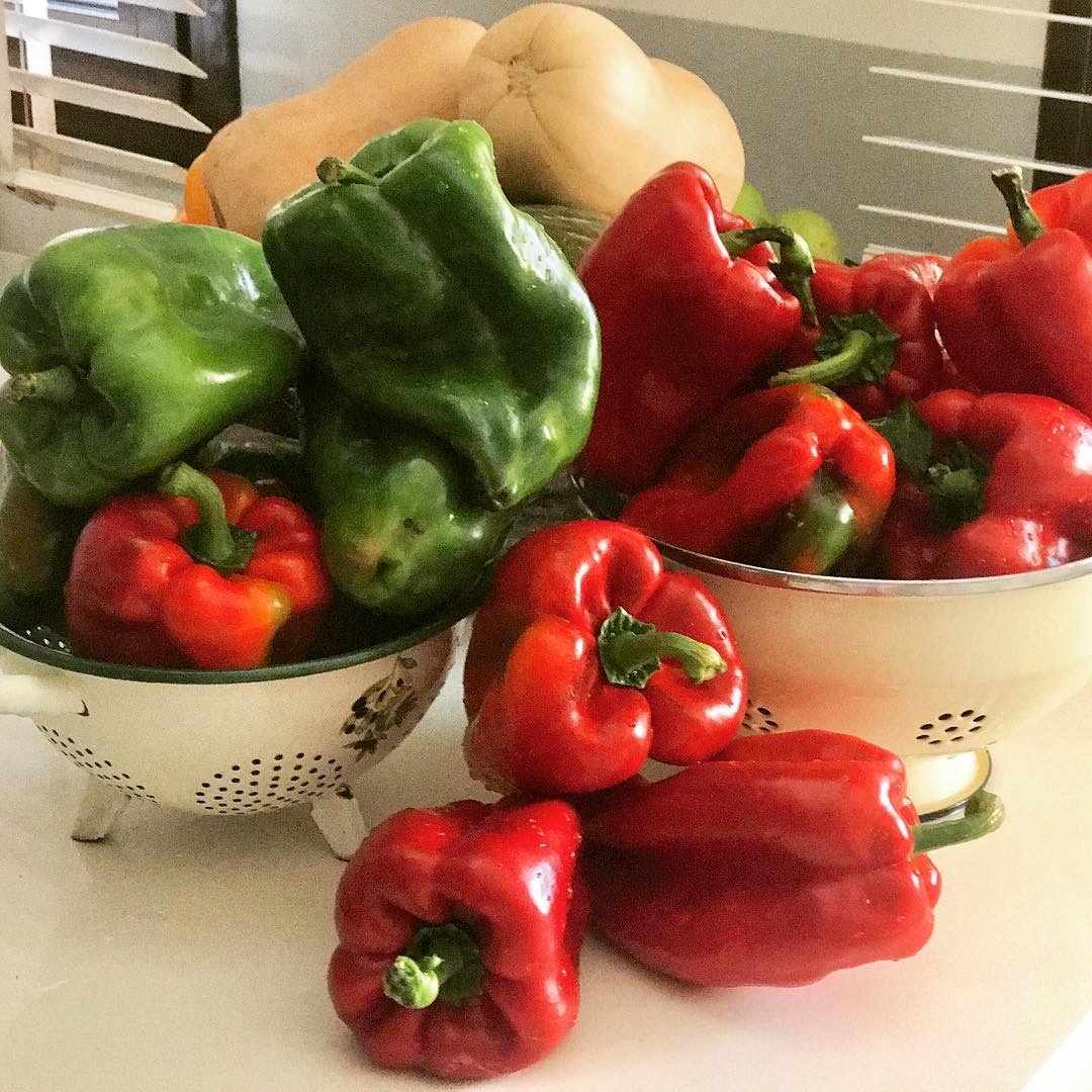 meo rua rau cu dung cach anh 12