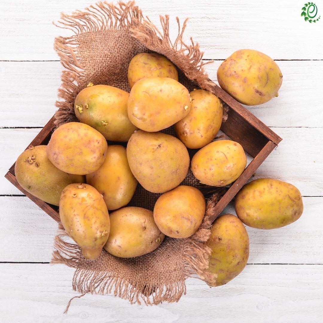 meo rua rau cu dung cach anh 17