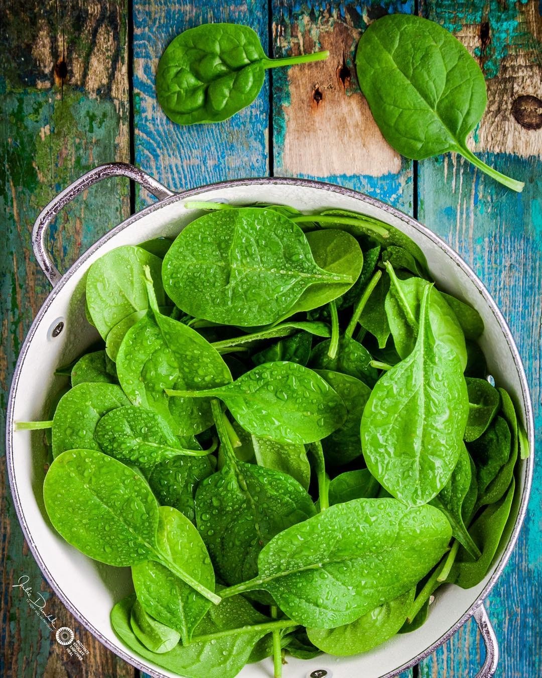 meo rua rau cu dung cach anh 20