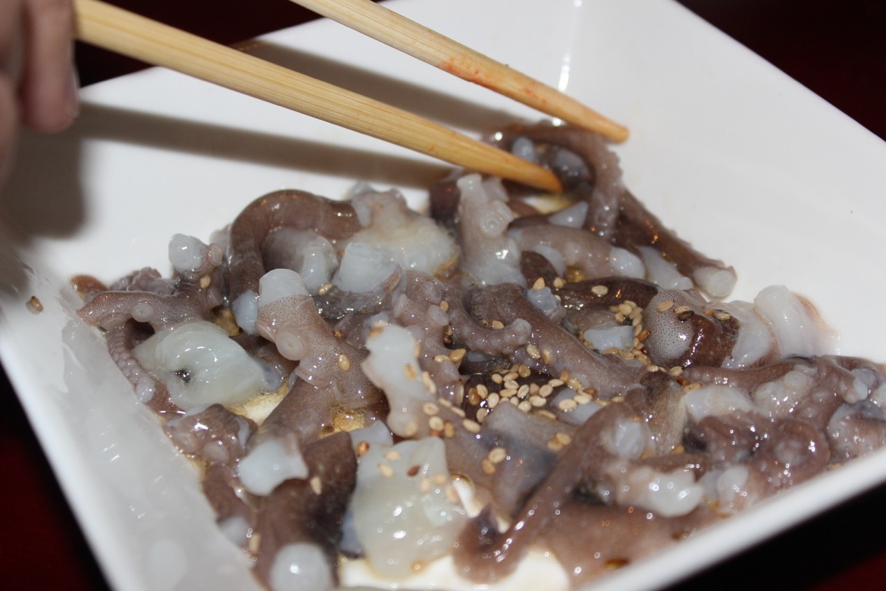 an bach tuoc song dung cach anh 11