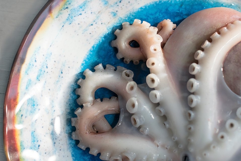 an bach tuoc song dung cach anh 12