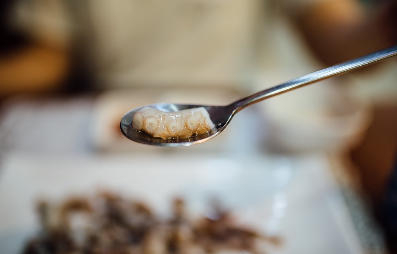 an bach tuoc song dung cach anh 14