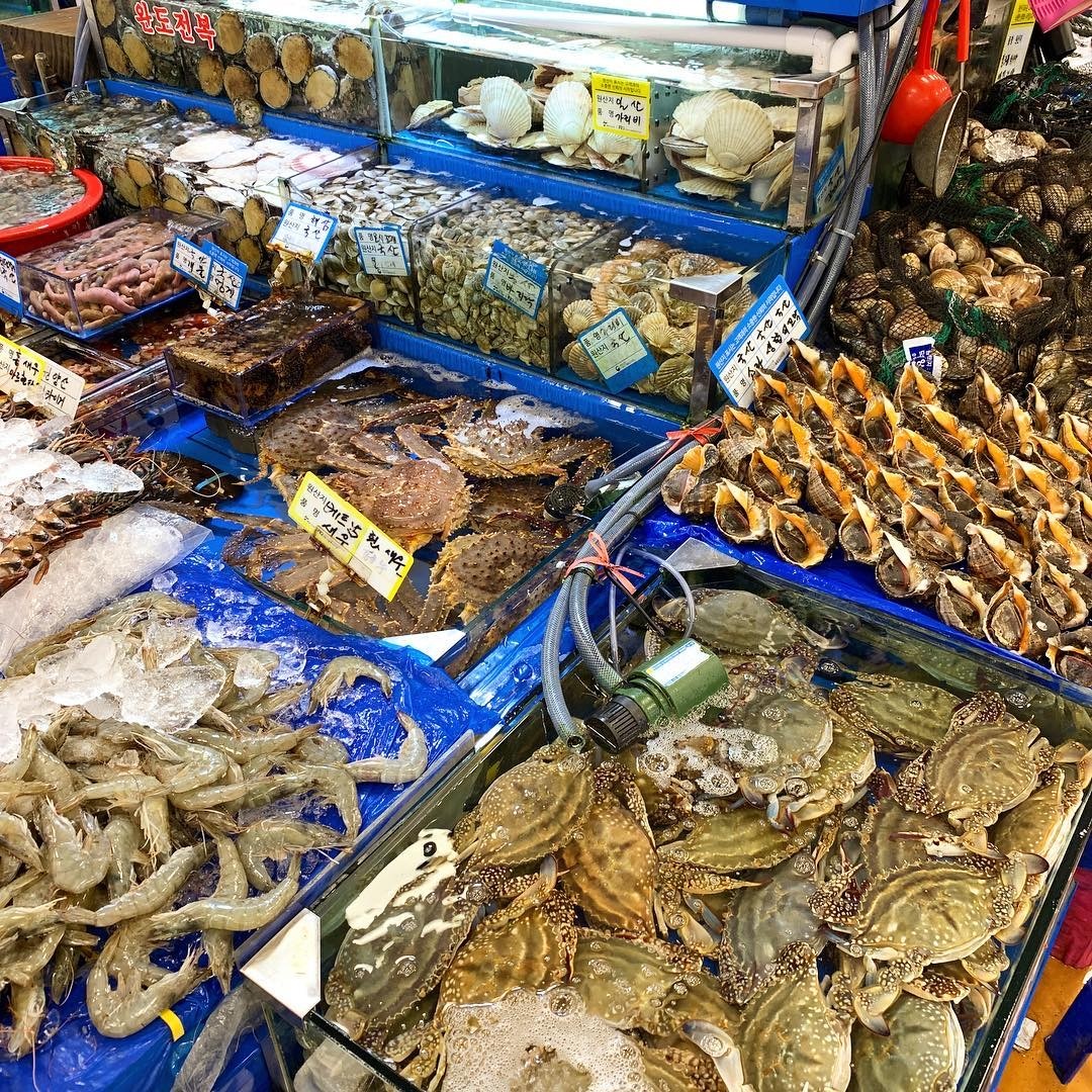 an bach tuoc song dung cach anh 4