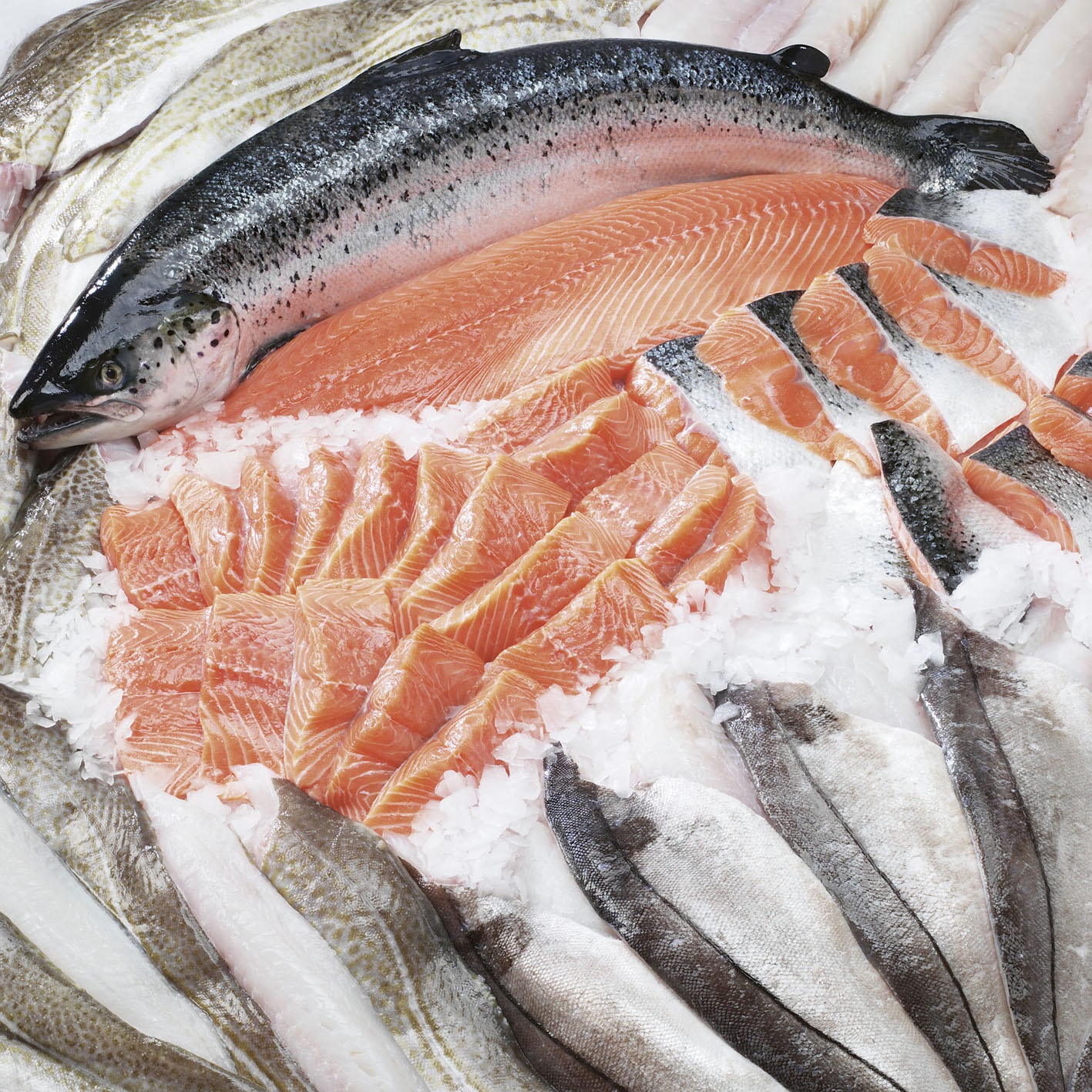 meo che bien hai san dung cach anh 2