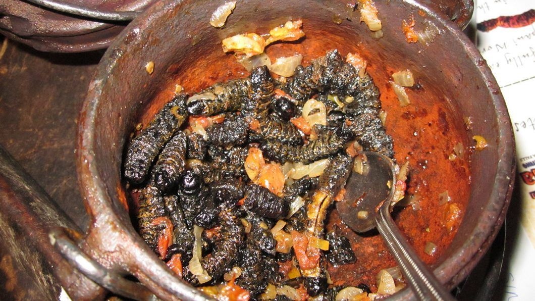 mon an ki di dip Giang sinh anh 1