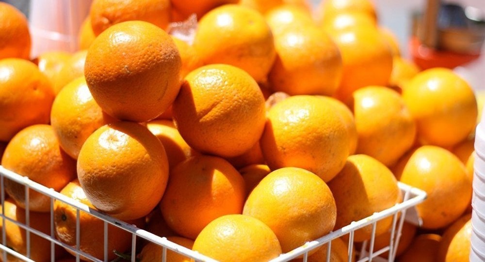 mon an Nga dip nam moi anh 3