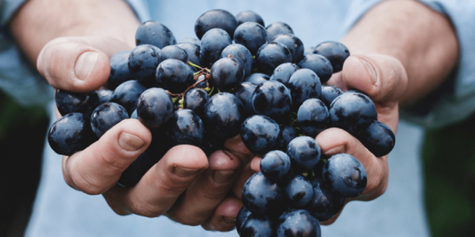 mon an truyen thong dip Tet duong lich anh 15