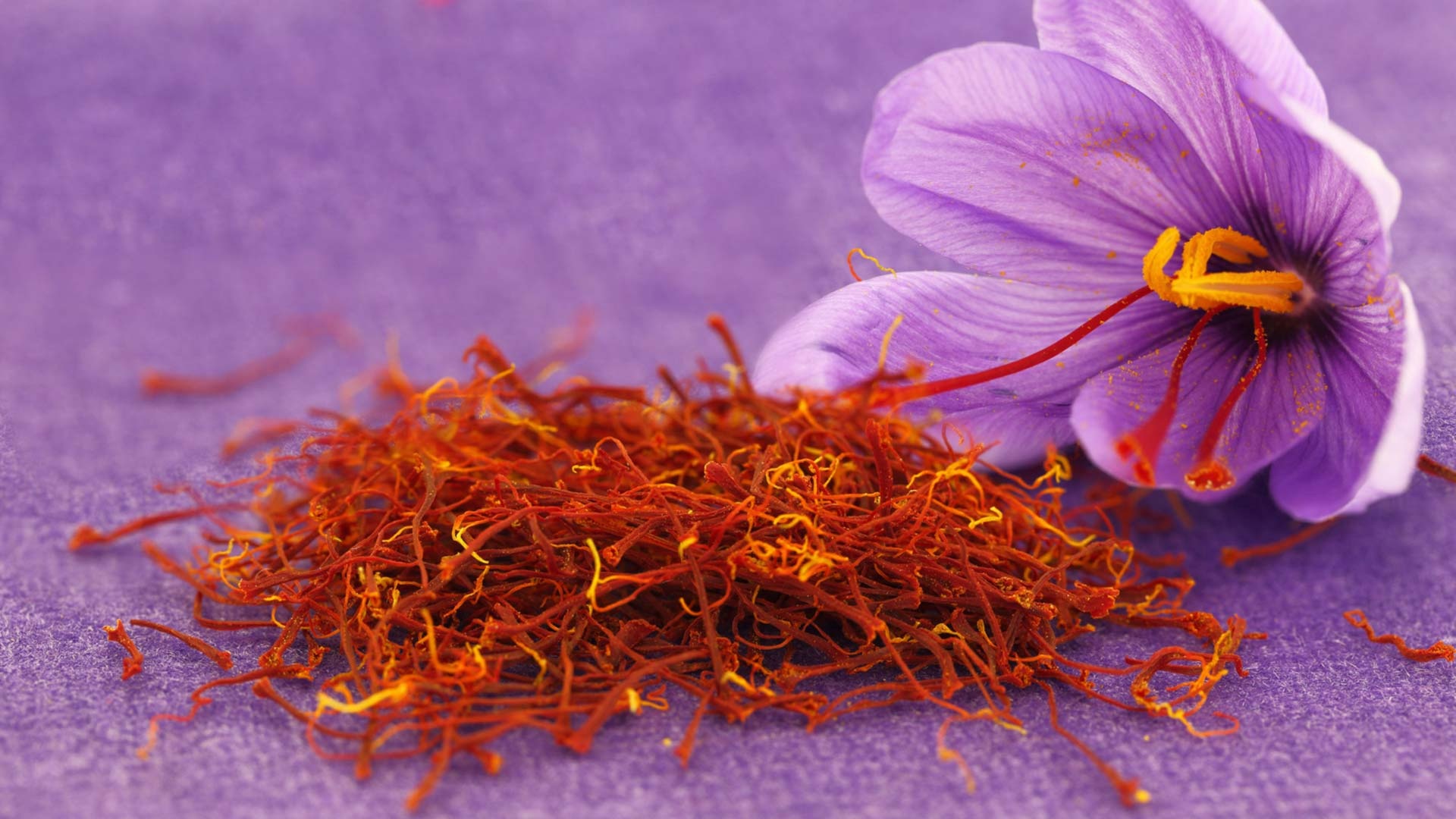 nhuỵ hoa nghệ tây saffron trong ẩm thực Iran ảnh 1 nhuy hoa nghe tay saffron trong am thuc Iran anh 1