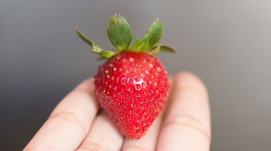 mon ngon mua xuan Nhat Ban anh 8