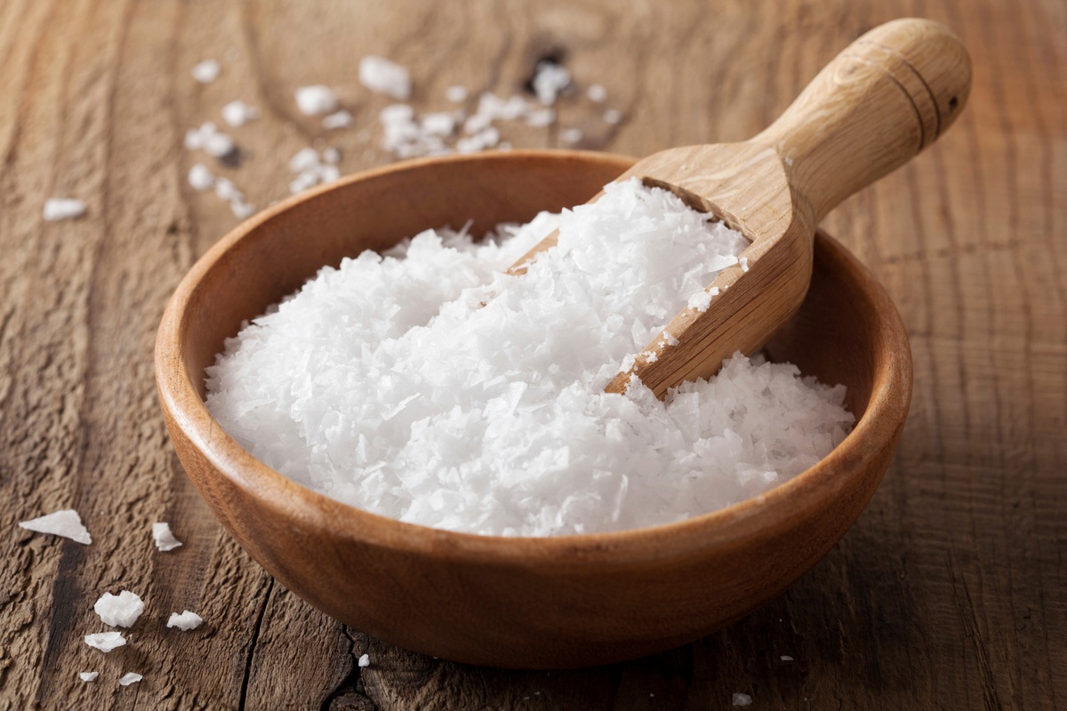 meo nho trong bep anh 10