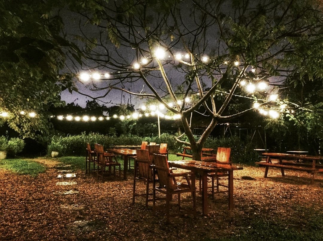 nha hang pizza nuong cui tai Ha Noi anh 5