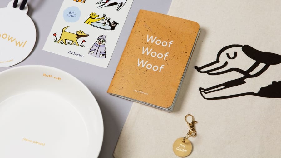 khach san cho meo anh 12