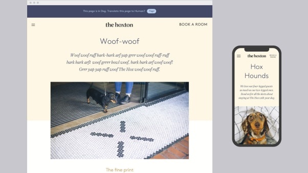 khach san cho meo anh 13