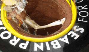 10 phat minh cuu song Trai Dat hinh anh