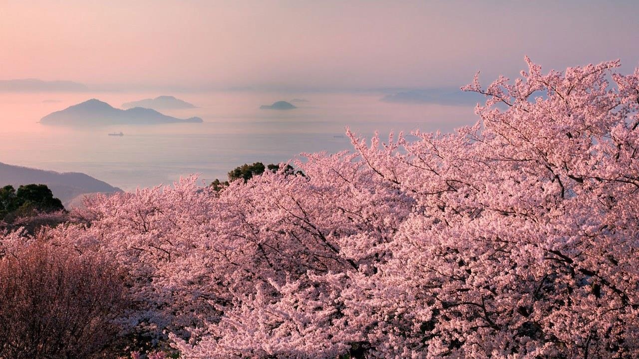 da nang vao top diem den bao My anh 9