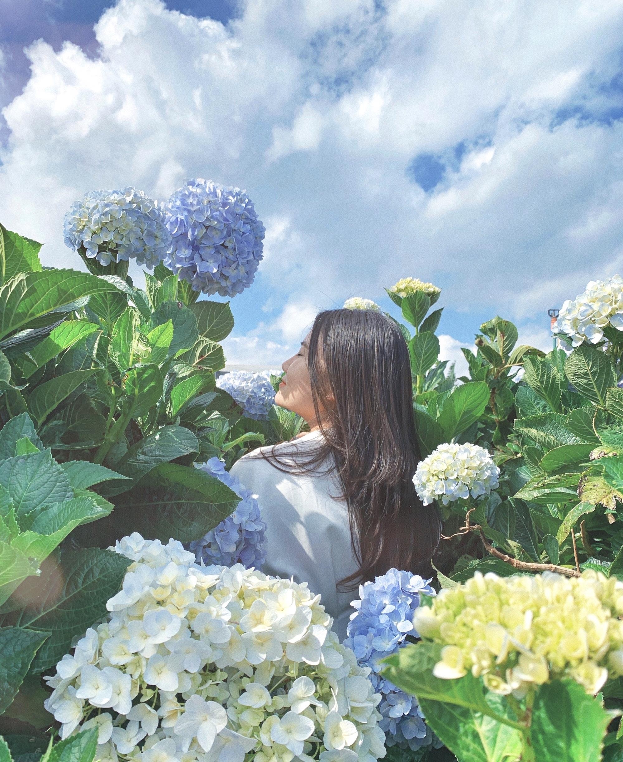 diem den moi o Da Lat anh 12