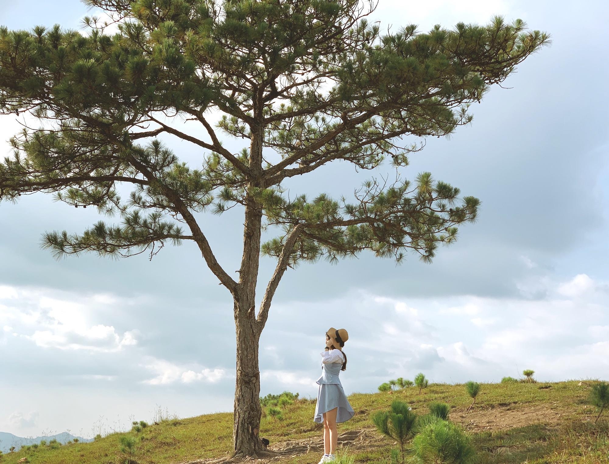 diem den moi o Da Lat anh 8