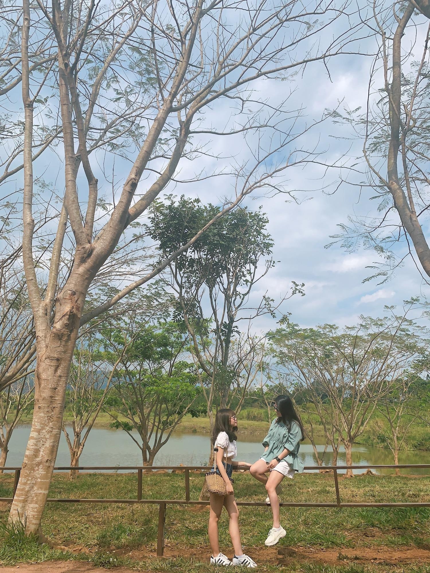 diem den moi o Da Lat anh 2