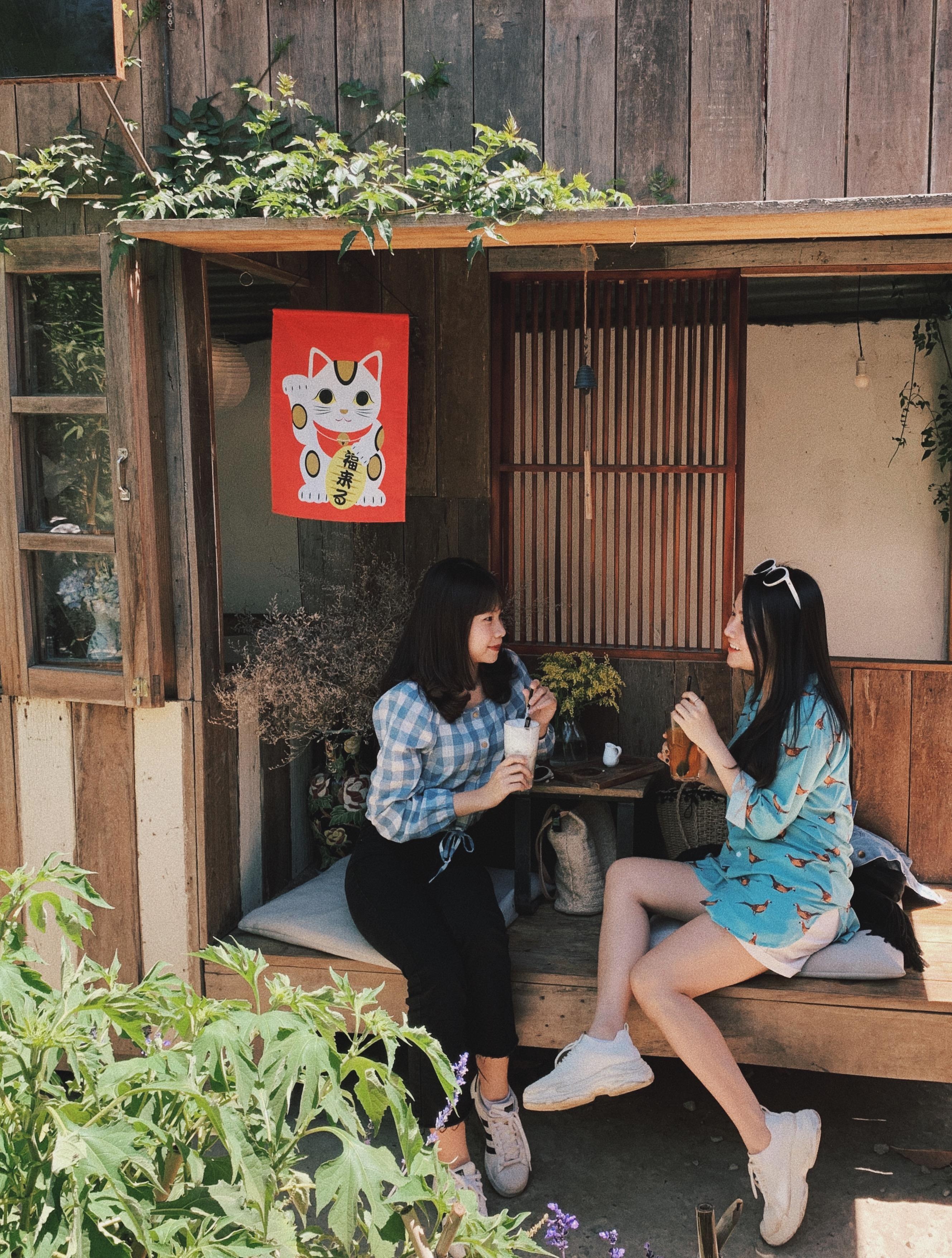 diem den moi o Da Lat anh 13