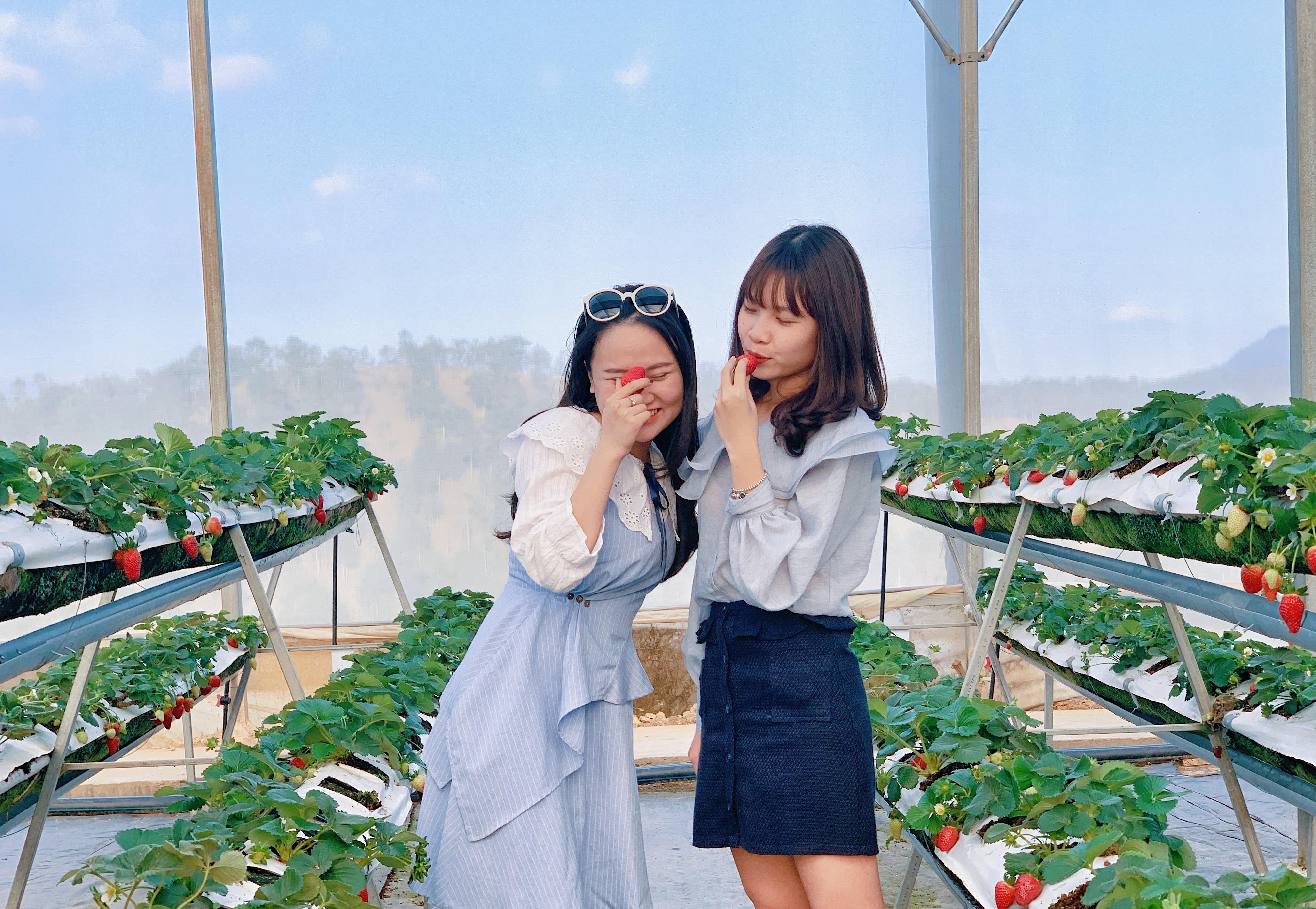 Lich trinh an choi de nho o Da Lat cho hoi ban than hinh anh