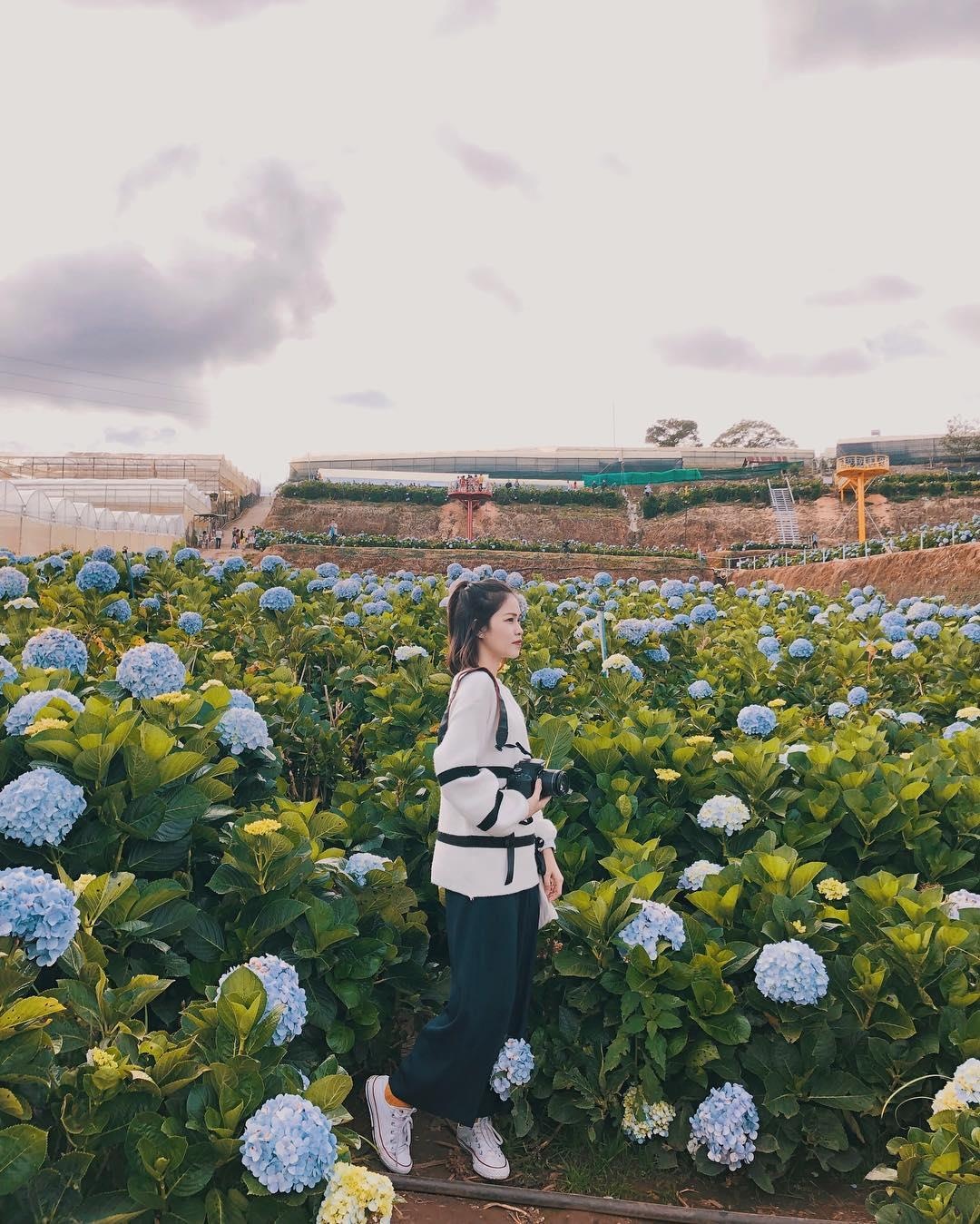 diem den moi o Da Lat anh 11