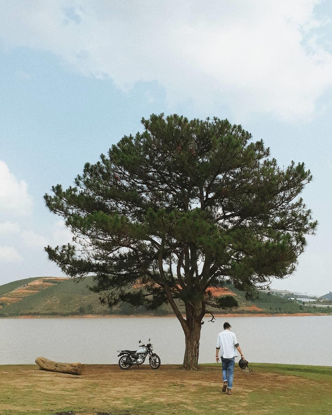 diem den moi o Da Lat anh 9