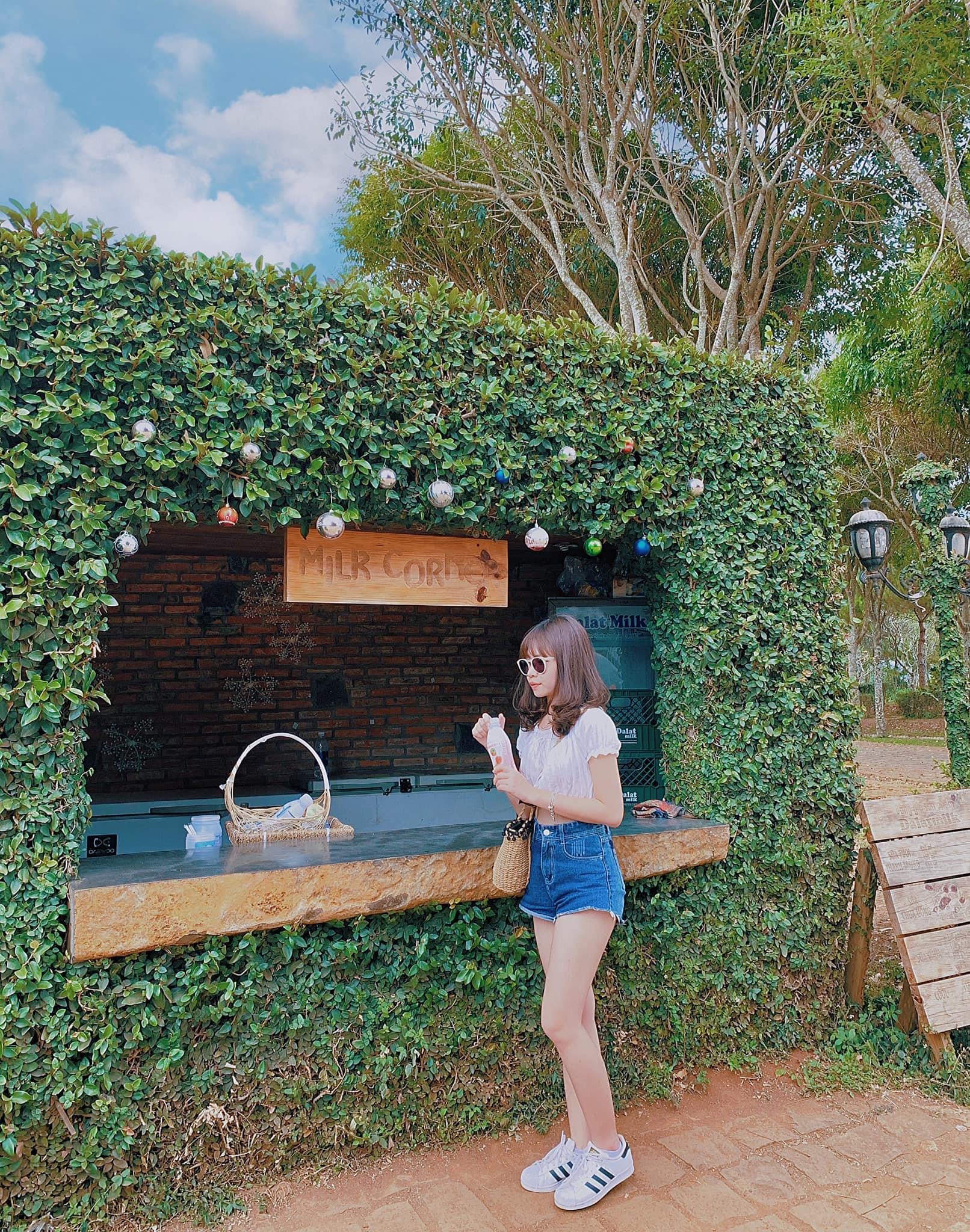 diem den moi o Da Lat anh 3