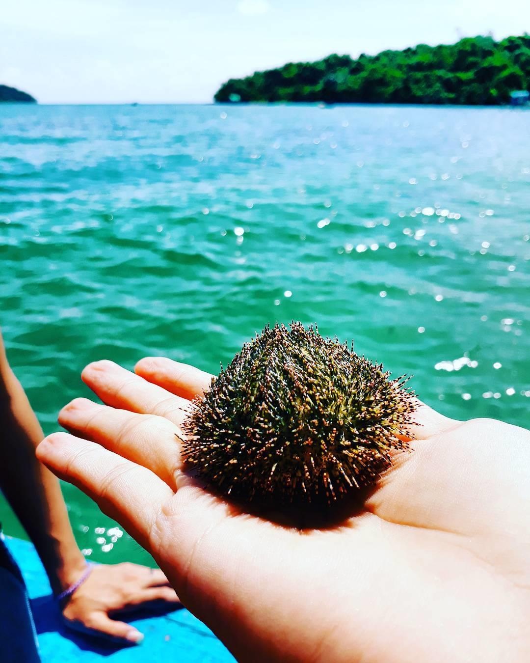 dia danh ten ky la nhat Viet Nam anh 8