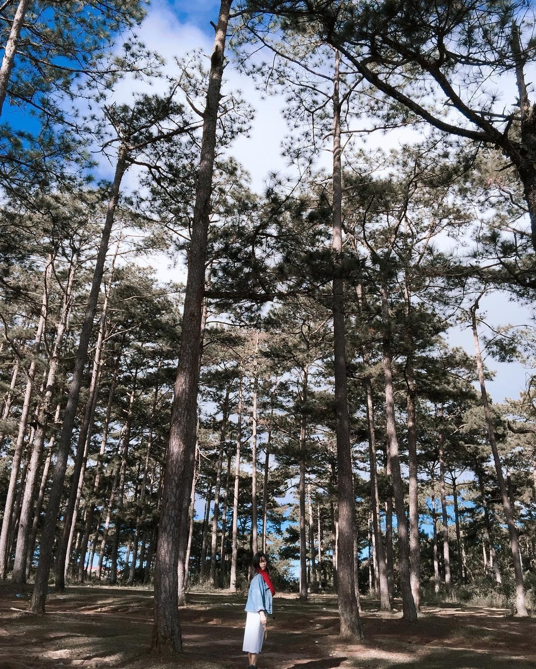 dia danh ten ky la nhat Viet Nam anh 14