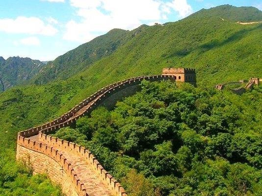 Rung cay xanh muot o Trung Quoc, An Do dang bao ve Trai Dat hinh anh